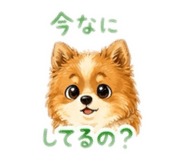 845941151