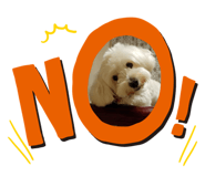 845948085
