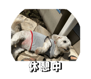 845948096