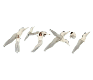 845952543