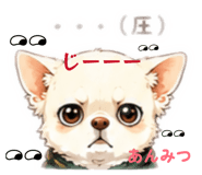 845953755