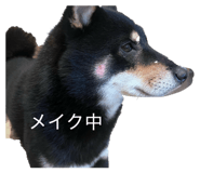 845954107