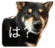 845954108
