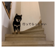845954110