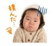 845954455