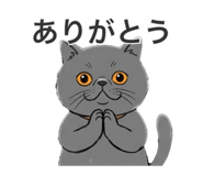 845954571