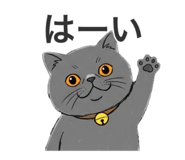 845954572