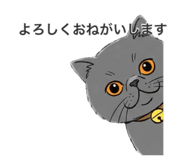 845954574