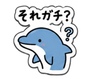 845955113