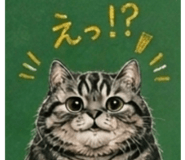 845955164