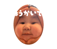 845955313