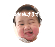 845955317