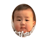 845955321
