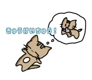 845955535