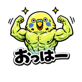 845956257