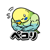 845956260