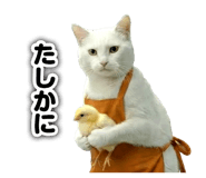 845956300