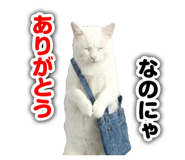 845956302