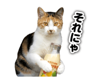845956306