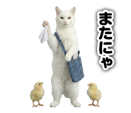 845956320