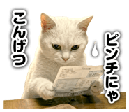 845956326