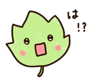 845956655
