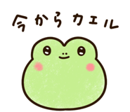 845956658
