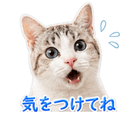 845956956