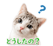 845956964