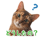 845958644