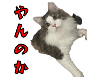 845961117