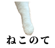845961132