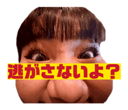 845982538