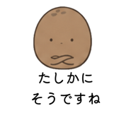 845982817