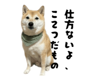 845983201