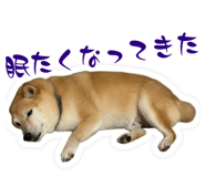 845983210
