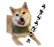 845983212
