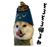 845983216