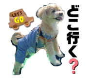 845983781