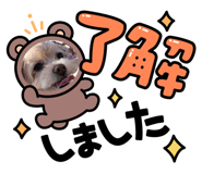 845983787