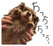845983840
