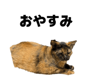 845983958
