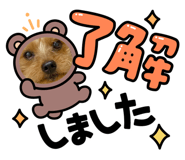 845984260