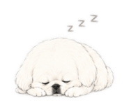 845984810
