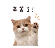 845993277