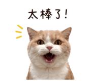 845993281