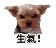 845993520