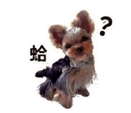 845993526