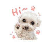 845993625