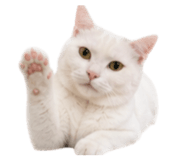845995283